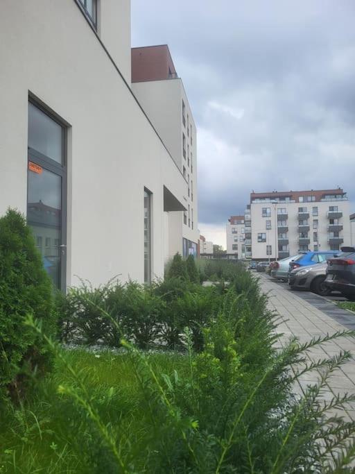Olive Tree Apartment - Klimatyzacja - Air Conditioning-Self-Check-In Katowice Exterior foto