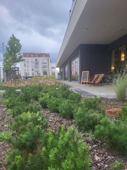 Olive Tree Apartment - Klimatyzacja - Air Conditioning-Self-Check-In Katowice Exterior foto